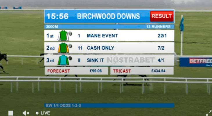 Betfred virtual horse racing