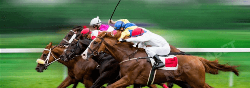 Marathonbet best odds guaranteed