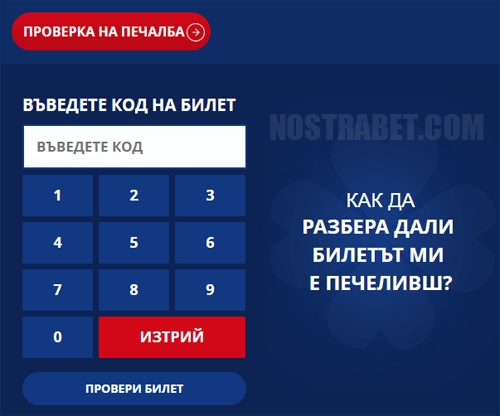 проверка на билет