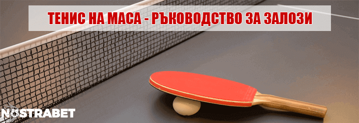 тенис на маса ръководство